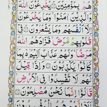 Quran Set 9 Line Colour Code (247)